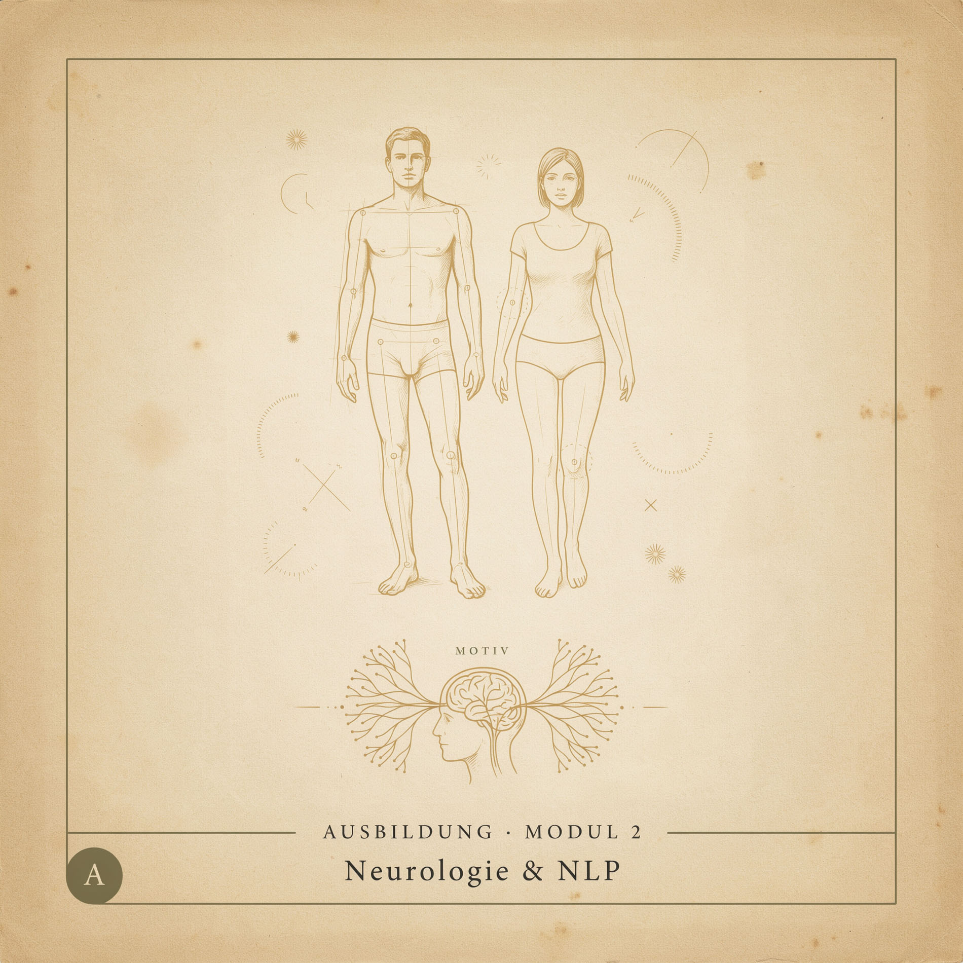 Modul 2 Neurologie & NLP – Kurs-Titelbild