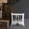 all-over-print-basic-pillow-18x18-front-lifestyle-2-6a353d85092cc.jpg Basic-Kissen