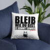 all-over-print-basic-pillow-18x18-front-lifestyle-6-6a353d85093e4.jpg Basic-Kissen